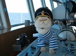 Что может дать 40-50 летняя старушка парню ровеснику