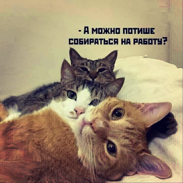 Двенадцатая подборка самых баянистых баянов! Ностальгируем...