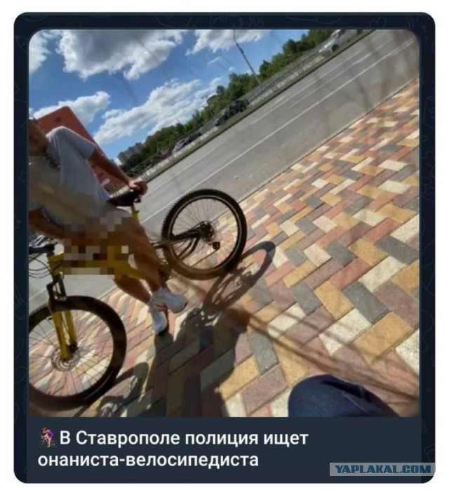 Всего понемногу. От 03.08.23