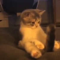 Тернистый путь любви. Лит.конкурс "Пятак"