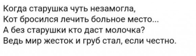 Так себе картинки 15.12.23