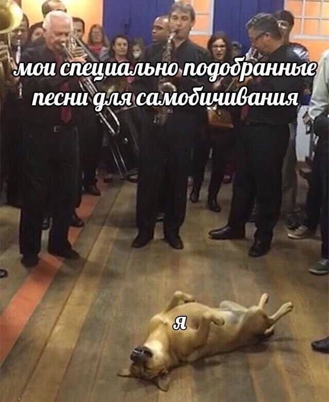 Весёлый полтишок 29.01.24