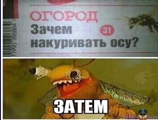 Пасека