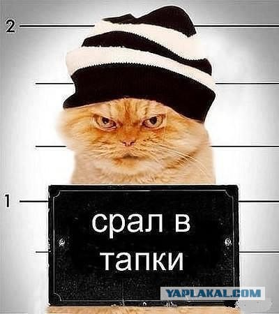 Навел порядок