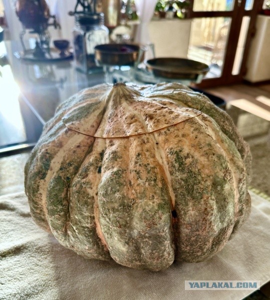 Жаба с рисом и сухофруктами