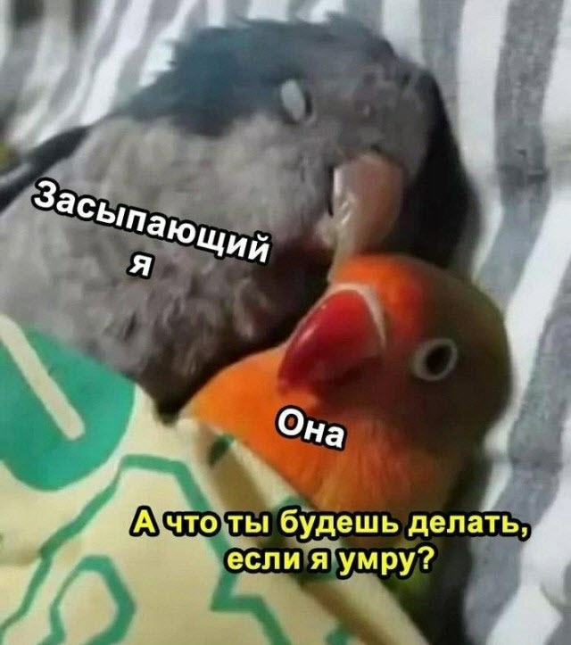 Отборные баяны 10-летней выдержки - LADY'S- Edition