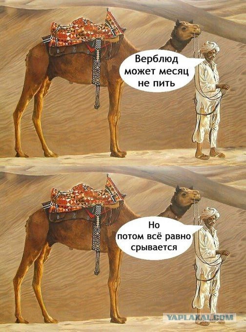 Баянистой пост