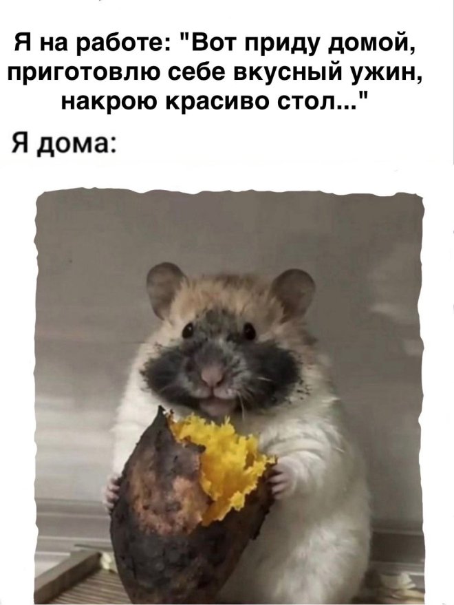 20649716.jpg