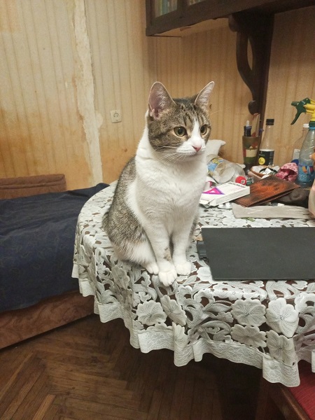 Фигли тебе надо кожанный