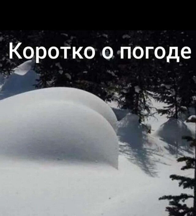 Веселые картинки в понедельник (19.01)