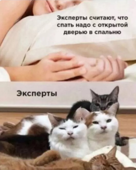 Картиночки, баянчики 06 апреля