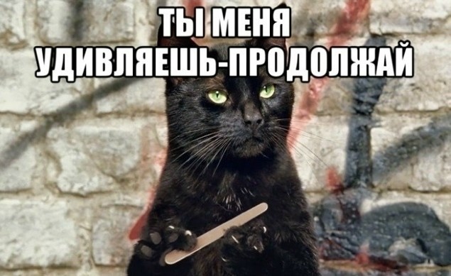 Что этот кожаный себе позволяет?