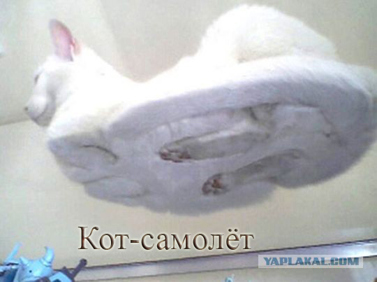 "Под Стеклом"