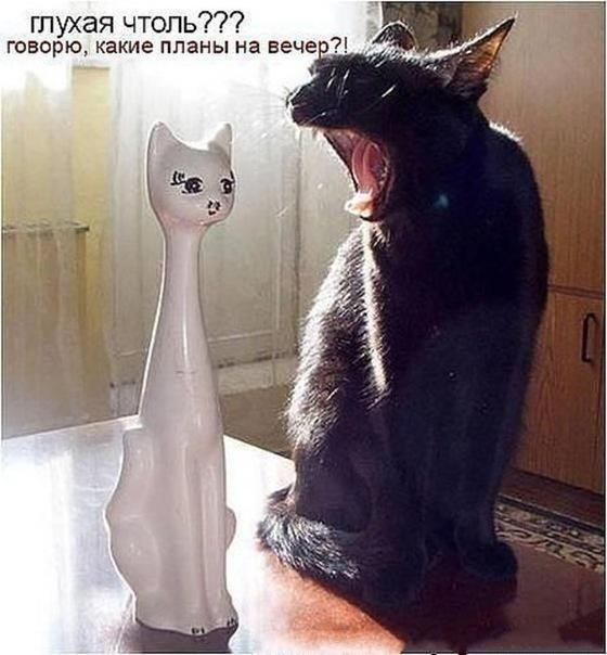 Капля позитива