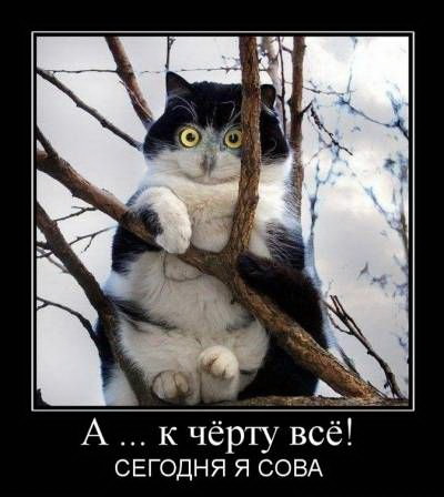Подборка позитивных картинок на выходные