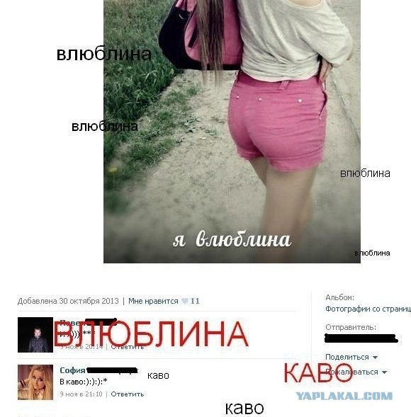 Грамматнасть и нтилехт вконтактовских обитателей
