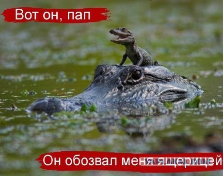 Фисташка закрытая попалась