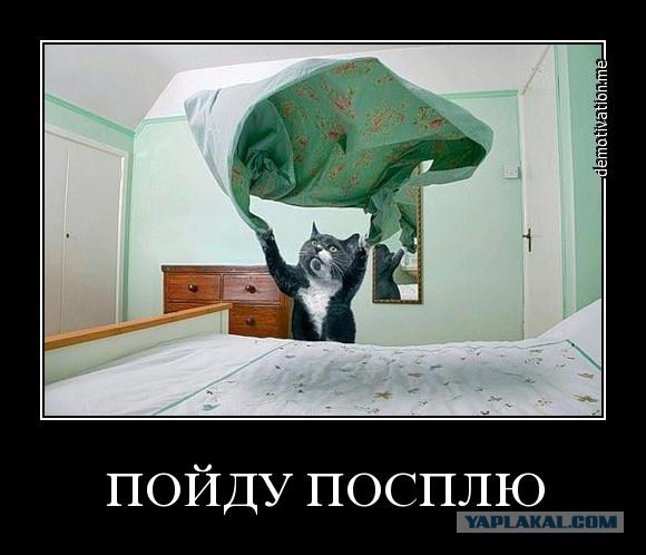 Кто знает, что это за херня?