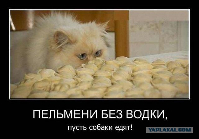 Чёрт, чёрт, чёрт!
