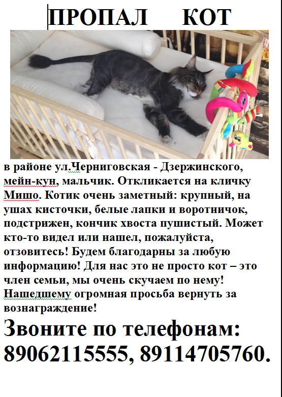 Новый закон про аренду жилья