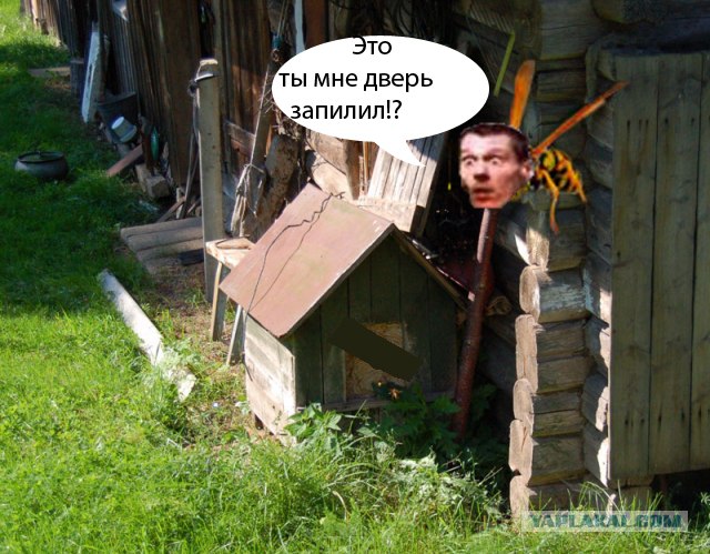 Самый надежный сторож!