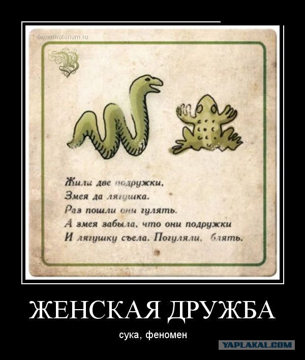 Подборка веселых картинок