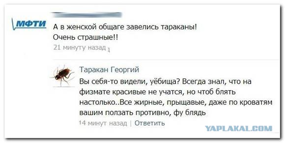 Коменты из СоцСети