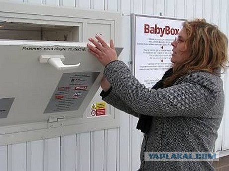 В Обнинске подъездная кошка несколько часов грела