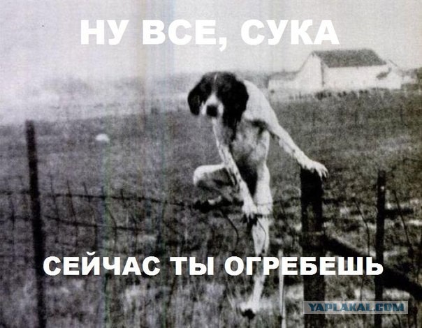 Прикольные надписи