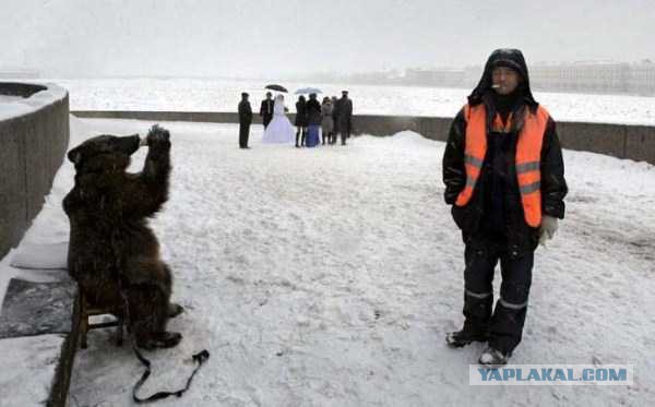 Тем временем в России...