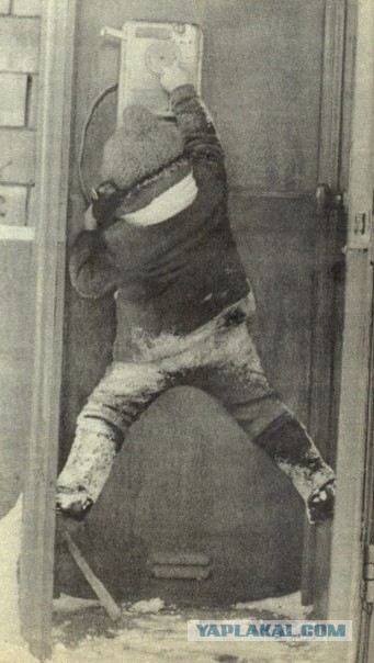 Вторничные картинки