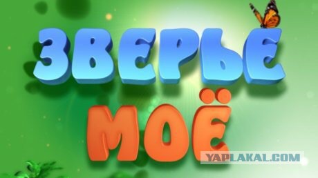 Беспредел на дороге в Иваново