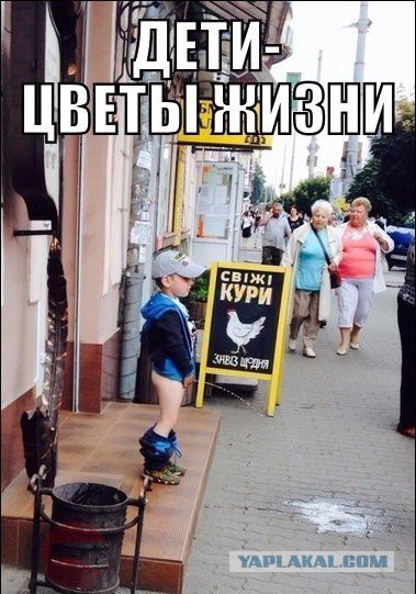 Картинки из инета