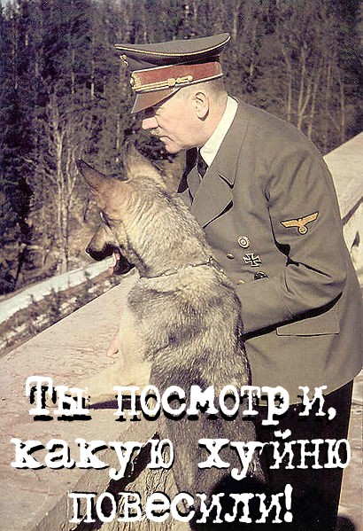 Тем временем в Германии беженцы вывесили баннер