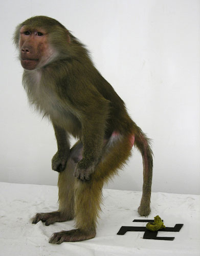 Жидкий стул фашизма