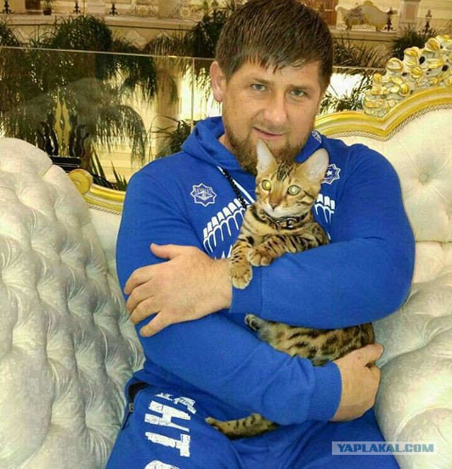 Срочные новости