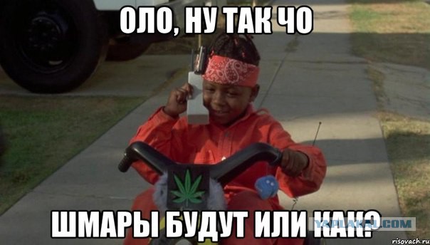 8-летнему сыну Рамзана Кадырова Адаму