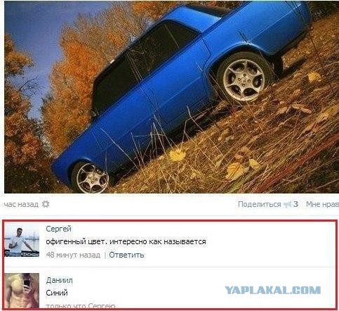 Приколы из сети