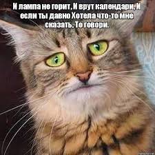 Когда начальник - идиот