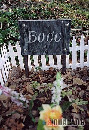 ВЫВЕСКИ, ТАБЛИЧКИ. Смешные и прикольные