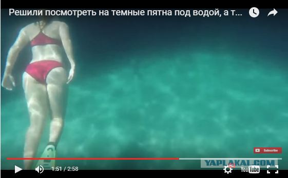 Решили посмотреть на темные пятна под водой