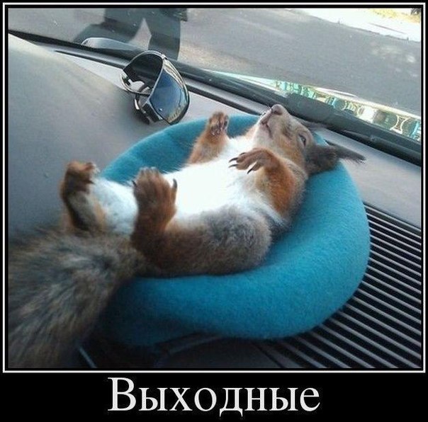 Свежая подборка картинок