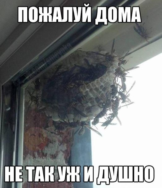 Картинки на пятницу