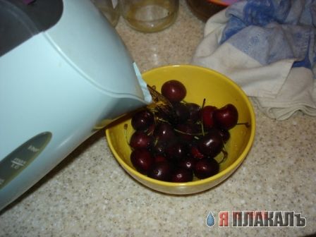 Все из рыбы!