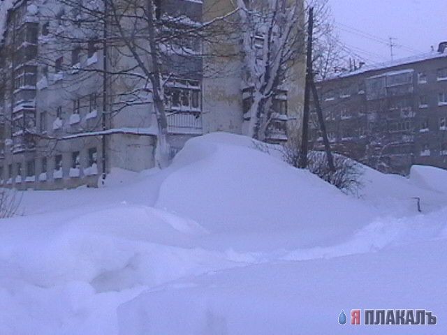 Родина - Сахалин!