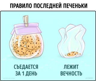 Жизненные ситуации и правила, знакомые каждому