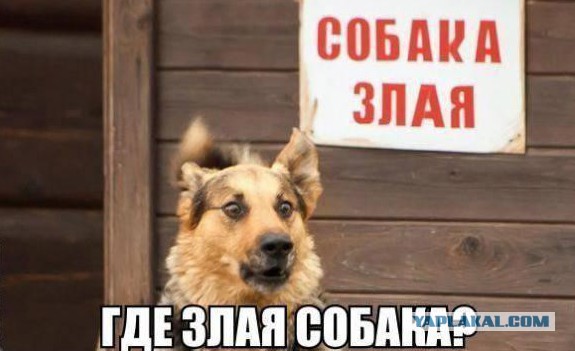 Осторожно! Злая собака!
