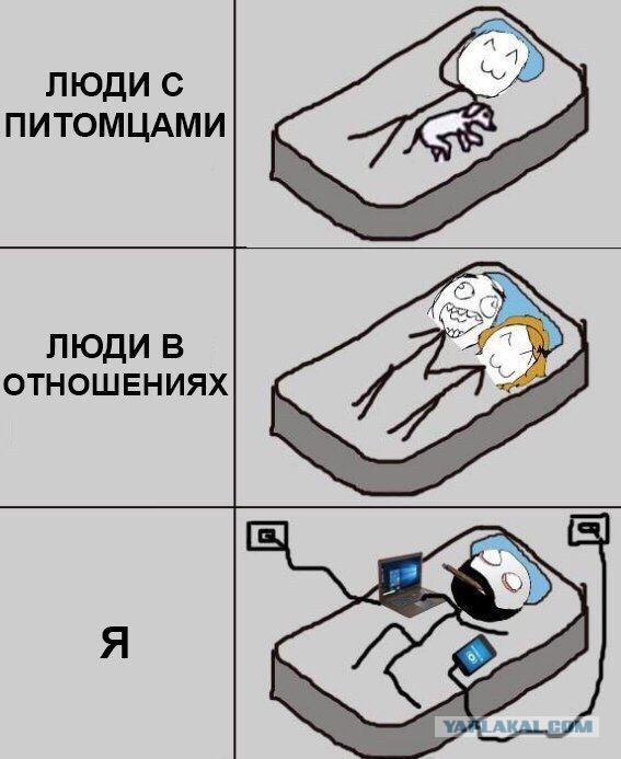 Подборка смешных картинок