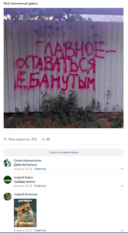 Ужасы и приколы из соцсетей 18+