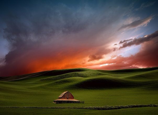 Моменты, запечатлённые на фото и просто позитив 5